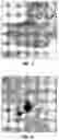 Fig. 03 - Functionalization of carbon nanoshperes by severe oxidative treatment