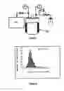 Fig. 02 - Synthesis of particles in dendritic structures