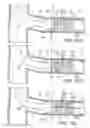 Fig. 07 - DEVICES AND METHODS FOR TREATING CHRONIC TOTAL OCCLUSION