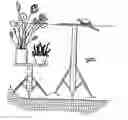 Fig. 01 - Aquatic plant stands