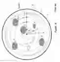 Fig. 02 - Microwave field director structure with laminated vanes