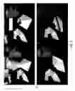 Fig. 04 - COLLAPSIBLE STAND FOR EDIBLE CONES