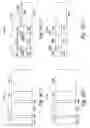 Fig. 08 - Epitaxial silicon growth