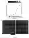 Fig. 06 - Micropatterning of biological molecules using laser ablation
