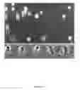 Fig. 07 - Micropatterning of biological molecules using laser ablation