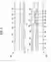 Fig. 06 - THIN FILM TRANSISTOR PANEL