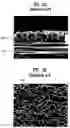 Fig. 04 - Direct type back light unit for liquid crystal display device