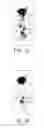 Fig. 02 - People detection in video and image data