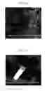 Fig. 04 - METHOD FOR PREPARING ZINC OXIDE NANOSTRUCTURES AND ZINC OXIDE NANOSTRUCTURES PREPARED BY THE SAME