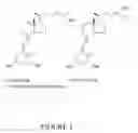 Fig. 02 - COMPOSITION AND METHODS FOR THE TREATMENT OF SKIN DISORDERS