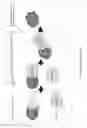 Fig. 07 - Modified factor VII polypeptides and uses thereof