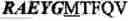 Fig. 07 - Immunogen comprising the HIV GP120 V3 loop in a conformation that induces broadly neutralizing antibodies