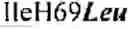 Fig. 04 - Antibody fragment-polymer conjugates and uses of same