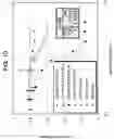 Fig. 09 - Antibody fragment-polymer conjugates and uses of same