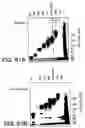 Fig. 129 - Antibody fragment-polymer conjugates and uses of same