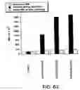 Fig. 131 - Antibody fragment-polymer conjugates and uses of same