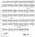 Fig. 20 - Antibody fragment-polymer conjugates and uses of same