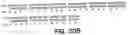 Fig. 24 - Antibody fragment-polymer conjugates and uses of same