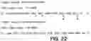 Fig. 26 - Antibody fragment-polymer conjugates and uses of same