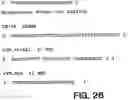 Fig. 30 - Antibody fragment-polymer conjugates and uses of same