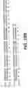 Fig. 34 - Antibody fragment-polymer conjugates and uses of same