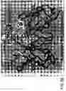 Fig. 40 - Antibody fragment-polymer conjugates and uses of same