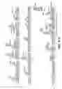 Fig. 56 - Antibody fragment-polymer conjugates and uses of same
