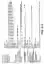 Fig. 72 - Antibody fragment-polymer conjugates and uses of same