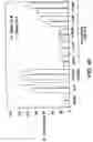 Fig. 79 - Antibody fragment-polymer conjugates and uses of same
