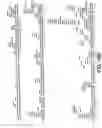 Fig. 85 - Antibody fragment-polymer conjugates and uses of same