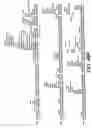Fig. 96 - Antibody fragment-polymer conjugates and uses of same
