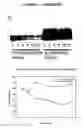 Fig. 07 - ALS-specific peptide composition