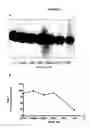 Fig. 09 - ALS-specific peptide composition
