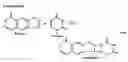Fig. 01 - Method of making immunogenic compositions comprising UV-irradiated, psoralen-inactivated, desialated human immunodeficiency virus (HIV) particles devoid of CD55 and CD59 in the viral membrane