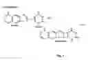 Fig. 02 - Method of making immunogenic compositions comprising UV-irradiated, psoralen-inactivated, desialated human immunodeficiency virus (HIV) particles devoid of CD55 and CD59 in the viral membrane