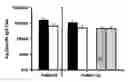 Fig. 01 - Chimeric MSP-based malaria vaccine