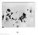 Fig. 02 - POWDER COATING COMPOSITIONS, METHODS FOR THEIR PREPARATION AND RELATED COATED SUBSTRATES