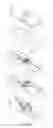 Fig. 04 - Tissue mimicking phantom