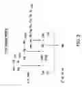 Fig. 04 - DETECTING HEPATITIS B VIRUS