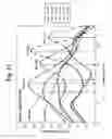 Fig. 14 - Probes and methods for hepatitis C virus typing using single probe analysis