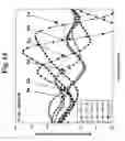 Fig. 15 - Probes and methods for hepatitis C virus typing using single probe analysis