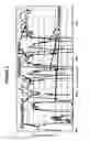 Fig. 03 - Full Karyotype Single Cell Chromosome Analysis