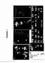 Fig. 08 - Full Karyotype Single Cell Chromosome Analysis
