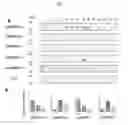 Fig. 03 - Method for subgroup analysis in subjects having or being suspected of having inflammatory disease, use of anti-p38MAPK antibodies, kits and their use