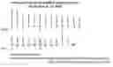 Fig. 01 - Prognostic and diagnostic method for disease therapy
