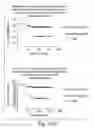 Fig. 173 - Prognostic and diagnostic method for disease therapy