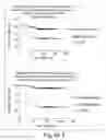 Fig. 174 - Prognostic and diagnostic method for disease therapy