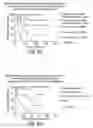 Fig. 18 - Prognostic and diagnostic method for disease therapy