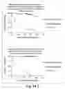 Fig. 183 - Prognostic and diagnostic method for disease therapy