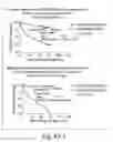 Fig. 185 - Prognostic and diagnostic method for disease therapy